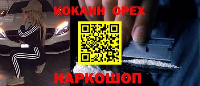 бошки Шелехов