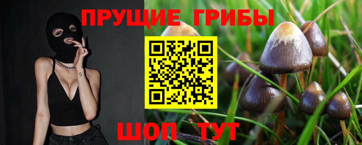 Псилоцибиновые грибы мухоморы  закладки  Дзержинский  Вход с VPN 